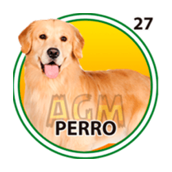 Perro