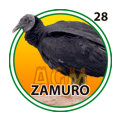 Zamuro