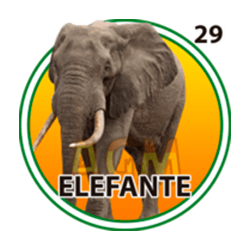 Elefante