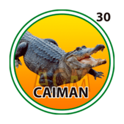 Caimán