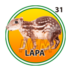 Lapa