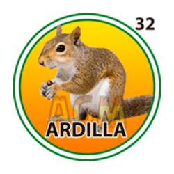 Ardilla
