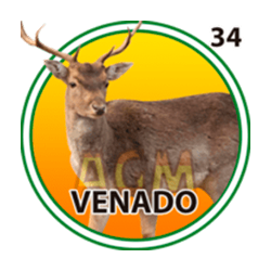 Venado