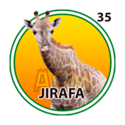 Jirafa