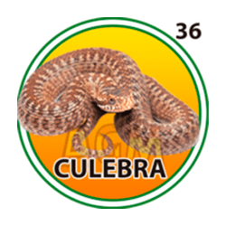 Culebra