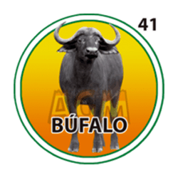Búfalo