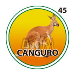 Canguro