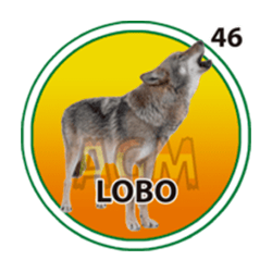 Lobo