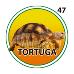 Tortuga