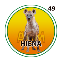 Hiena