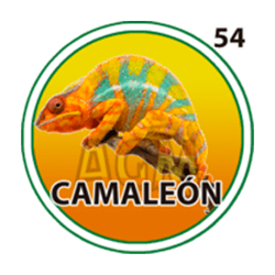 Camaleón