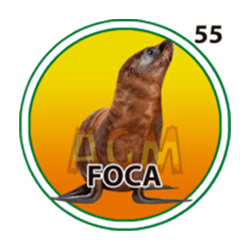Foca