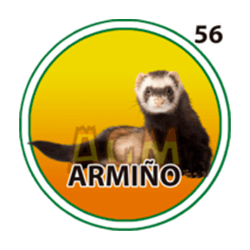 Armiño