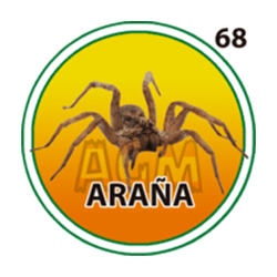 Araña
