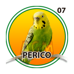 Perico