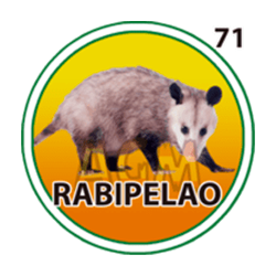 Rabipelao