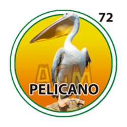 Pelicano