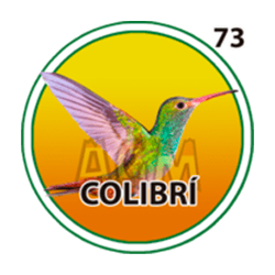 Colibrí