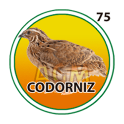 Codorníz