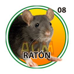 Ratón