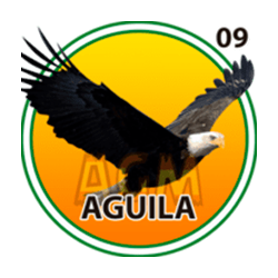 Águila