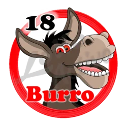 Burro