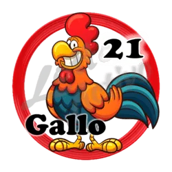 Gallo
