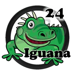 Iguana