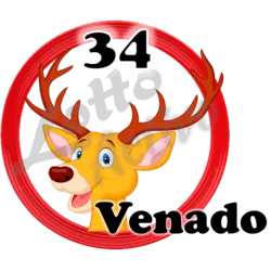 Venado