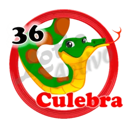 Animalito fijo del día