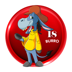 Burro