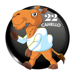 Camello