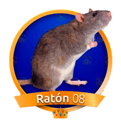 Ratón