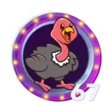 Avestruz
