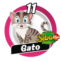 Gato
