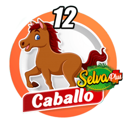 Caballo