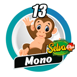 Mono