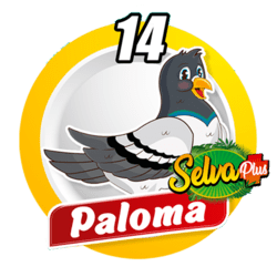 Paloma
