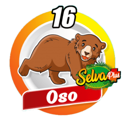 Oso