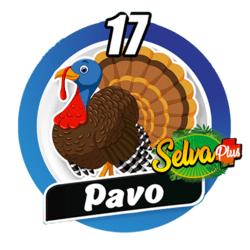 Pavo