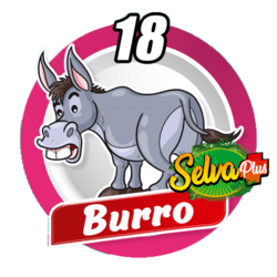 Burro