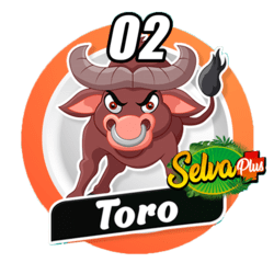 Toro