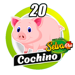 Cochino