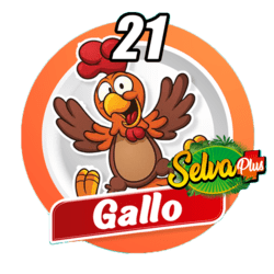 Gallo