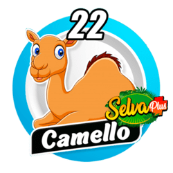 Camello