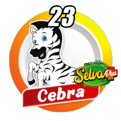 Cebra