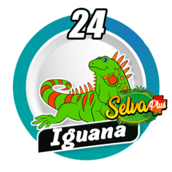Iguana