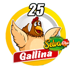 Gallina