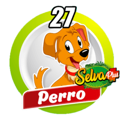Perro