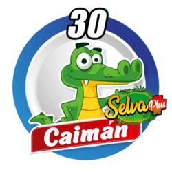 Caimán